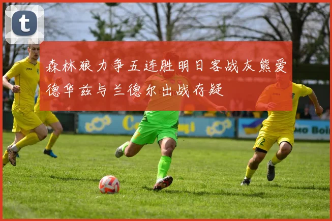 森林狼力争五连胜明日客战灰熊爱德华兹与兰德尔出战存疑