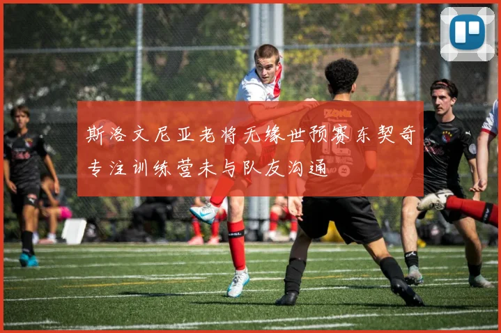 斯洛文尼亚老将无缘世预赛东契奇专注训练营未与队友沟通